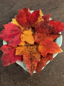 Red to Yellow fall leaves arranged on a whote ceramic plate